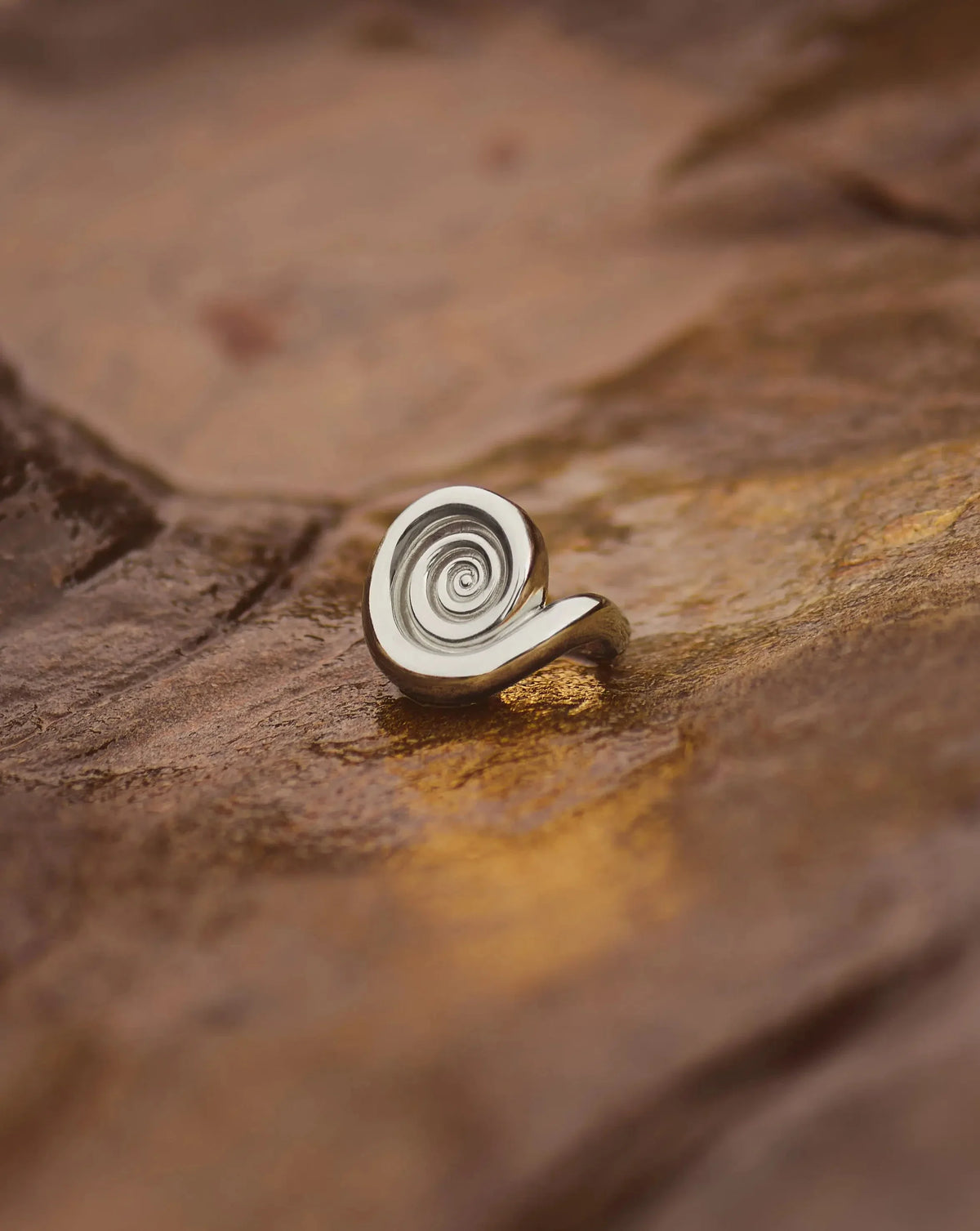 Spiral Statement Ring | Silver Plated